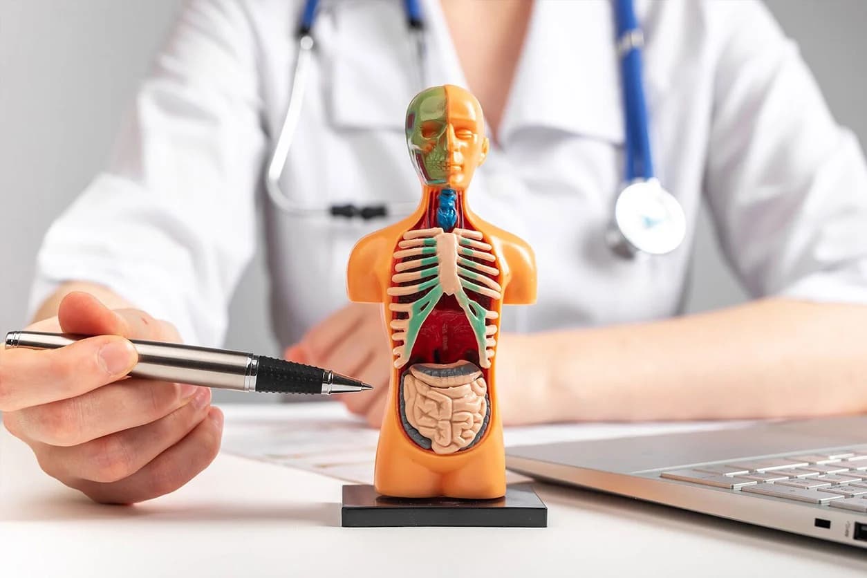 Internal medicine Thumb